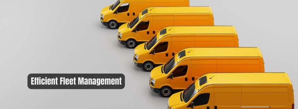 Efficient Fleet Management: Everything You Need To Know